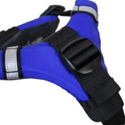 Stohlquist Pup Float PFD -Water Sports Shop PupFloat PupRight 575x 8897a1c4 806c 4bc1 aaeb 3a1ba3b885ca